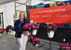Lindsay Pangborn of Dümmen Orange presenting New Guinea Roller Coaster. It has double flowers a top of dark green foliage and has an abundance of pink blooms made for shade.